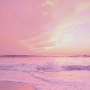 Meet your Posher, Marcella